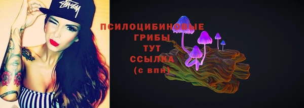 сатива Арсеньев