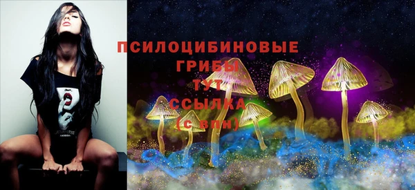 сатива Арсеньев